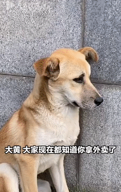 [출처 = 인민망]