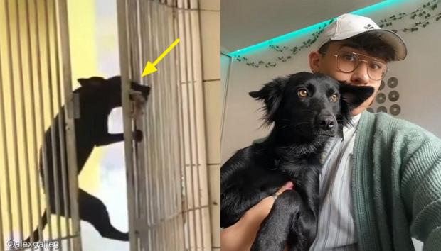 [사진=Tiktok 영상 갈무리(이하)]