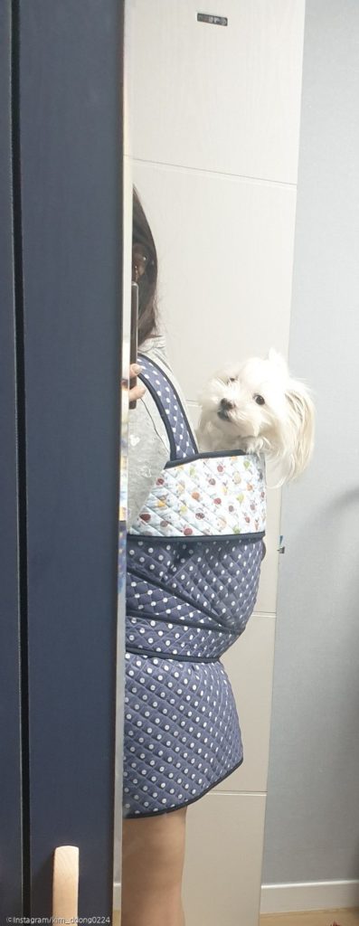 ⓒ노트펫