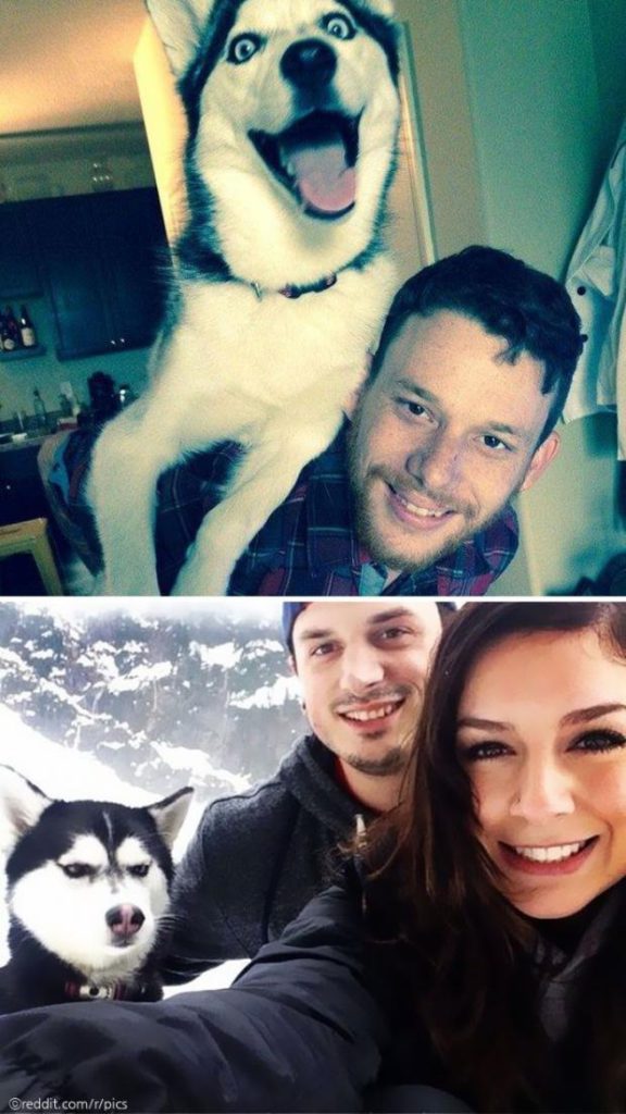 ⓒreddit.com/r/pics