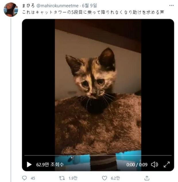 ㅇㅇㅇㅇ
