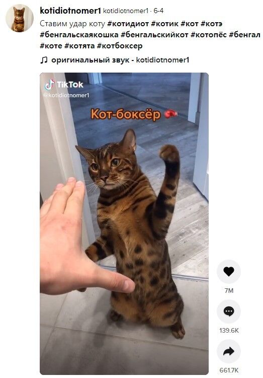 이미지를 클릭하면 원본영상으로 이동합니다.