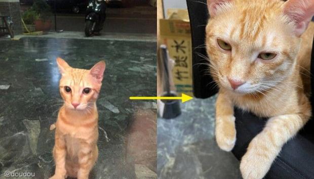 [사진=ETtoday 화면 갈무리(이하)]