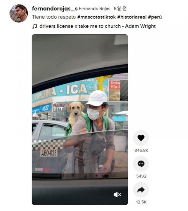 이미지를 클릭하시면 틱톡 원본 동영상으로 이동합니다.