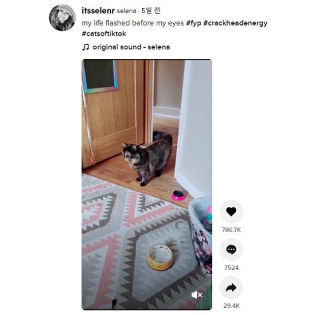 이미지를 클릭하시면 틱톡 원본 동영상으로 이동합니다.