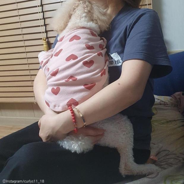 ⓒ노트펫