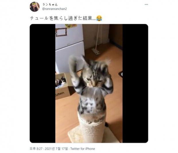 ⓒ노트펫