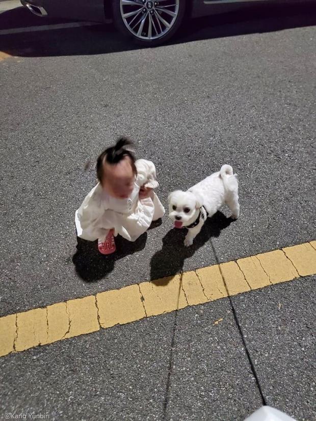 ⓒ노트펫