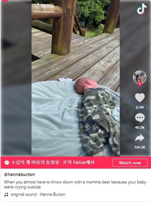 ⓒ노트펫
