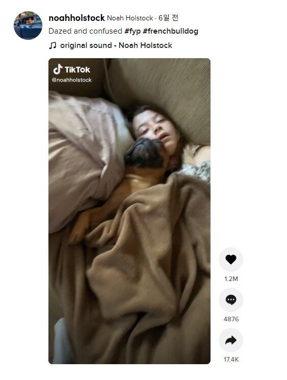 이미지를 클릭하면 원본 영상으로 연결됩니다.