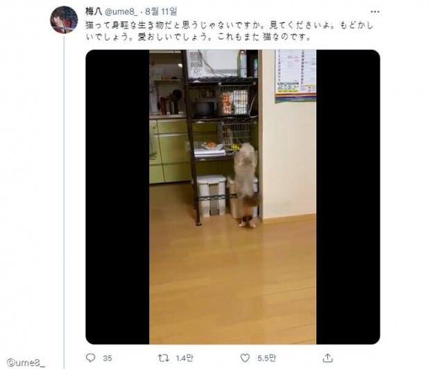 ㅎㅎㅎㅎㅎ