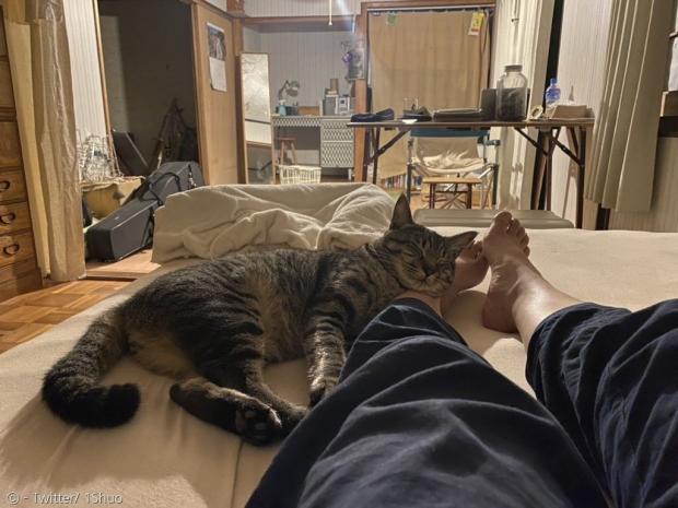 집사 곁을 지켜준 고양이.