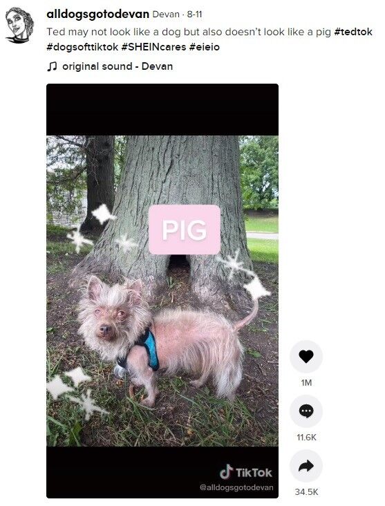 이미지를 클릭하면 원본 영상으로 이동합니다.