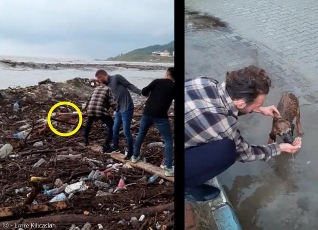 갈색 강아지(노란 원)를 구하기 위해서 터키 청년들이 나무판자에 의지해서 인간띠를 만들었다. 강아지는 무사히 구조돼서 동물단체가 보호 중이다. [출처: 엠레 킬리카슬란]
