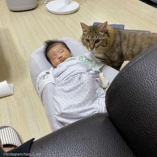 ⓒ노트펫