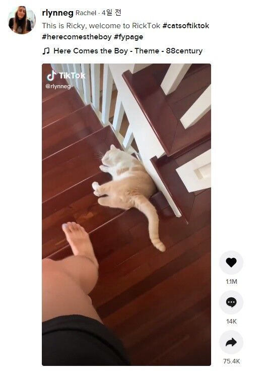 이미지를 클릭하면 원본 영상으로 이동합니다. 