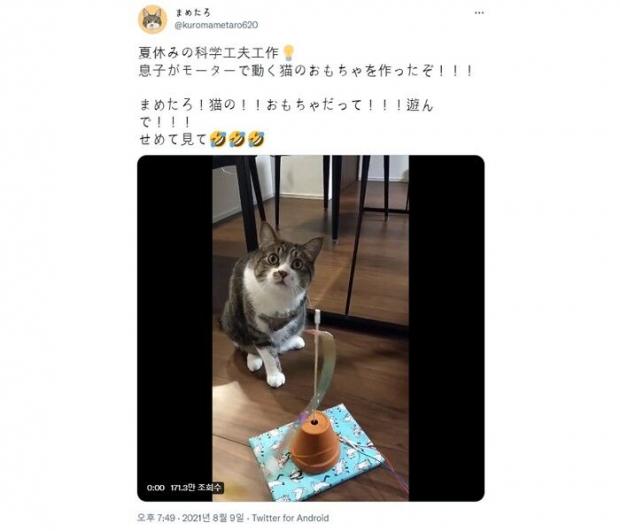 ⓒ노트펫