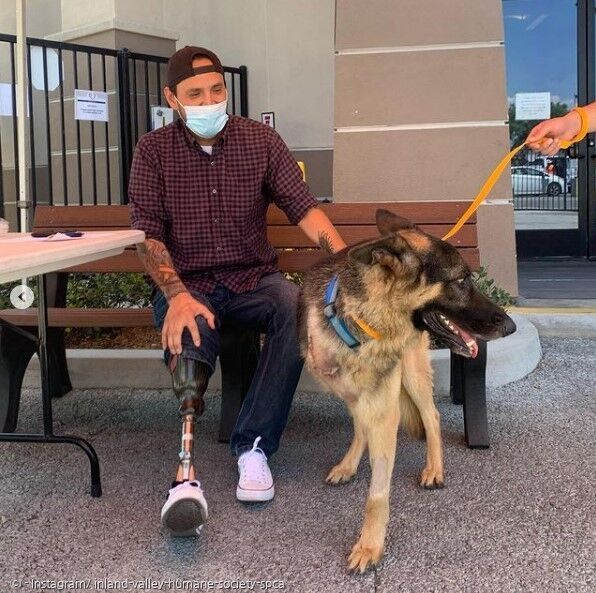 셰퍼드는 자신처럼 오른쪽 다리가 없는 보호자를 만났다. [출처: Instagram/ inland-valley-humane-society-spca]