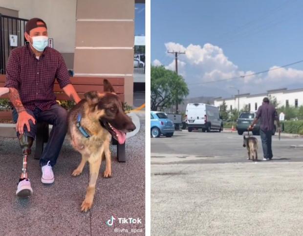 둘이 집으로 걸어가는 뒷모습을 보고, 모두가 행복을 기원했다. [출처: TikTok/ ivhs_spca]