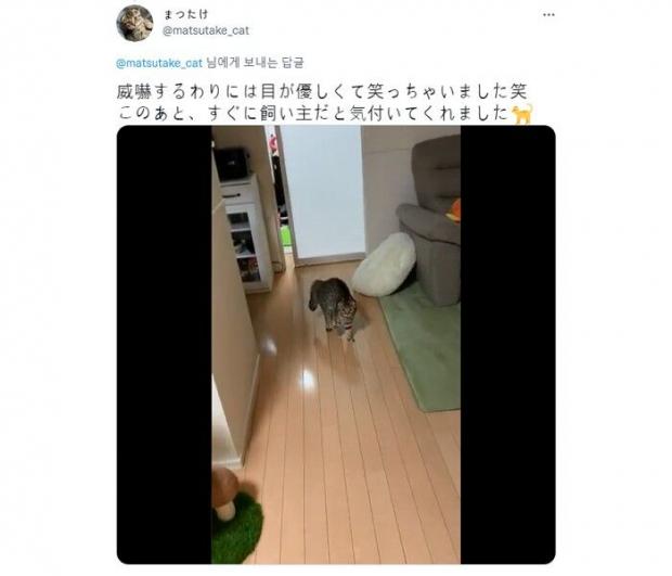 ⓒ노트펫