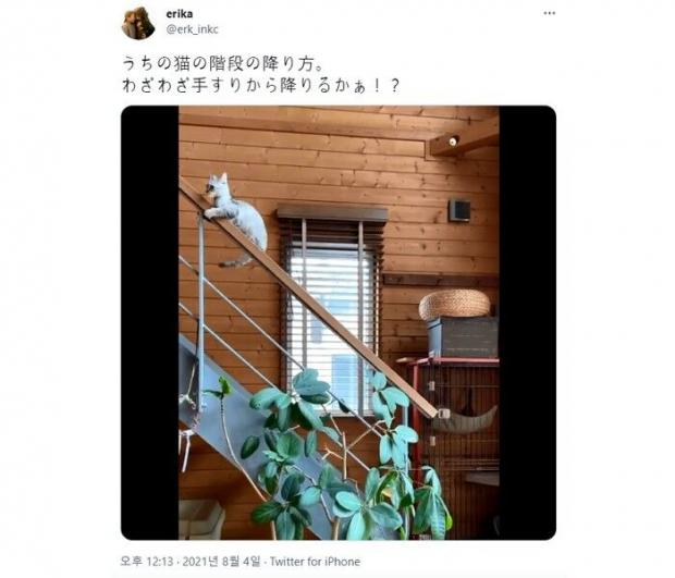 이미지를 클릭하시면 트위터 원본 동영상으로 이동합니다.
