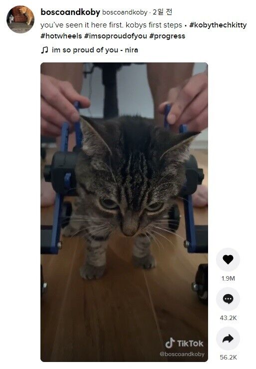 이미지를 클릭하면 원본 영상으로 이동합니다.