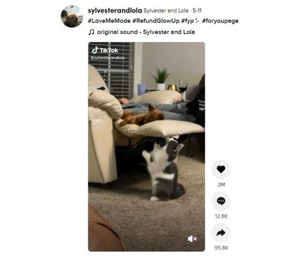 이미지를 클릭하시면 틱톡 원본 동영상으로 이동합니다.