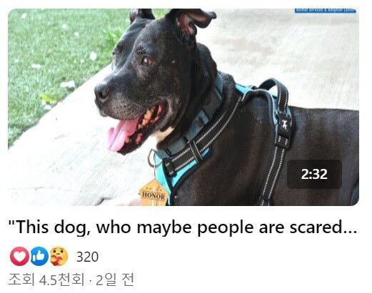 이미지를 클릭하면 원본 영상으로 이동합니다.