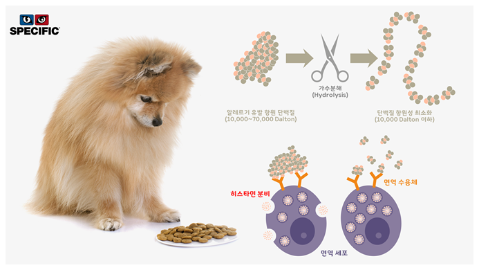 강아지 알레르기