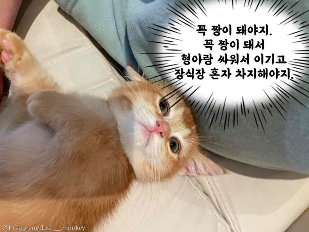 ㅁ