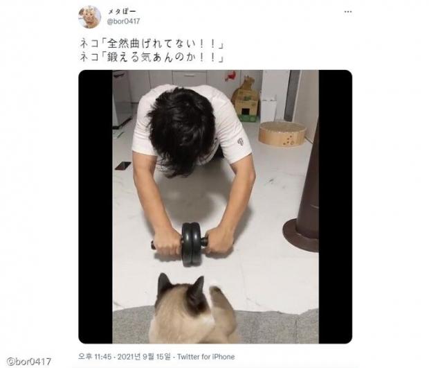 이미지를 클릭하시면 트위터 원본 동영상으로 이동합니다.