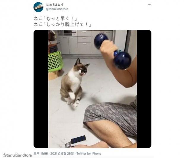 이미지를 클릭하시면 트위터 원본 동영상으로 이동합니다.