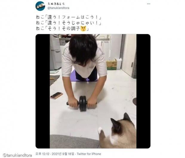 이미지를 클릭하시면 트위터 원본 동영상으로 이동합니다.