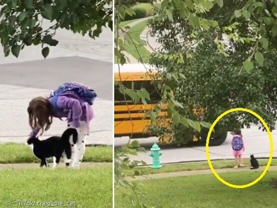 매일 초등생 집사 등교 챙기기가 크레이그의 첫 일과다. [출처: 크레이그 틱톡]