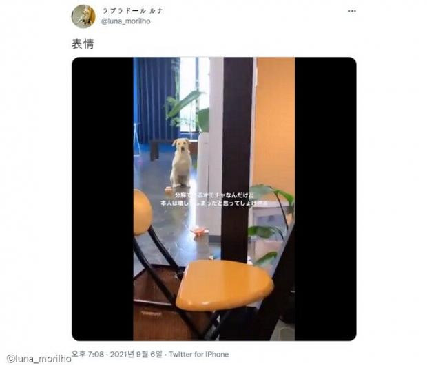 ㅇㅇㅇ