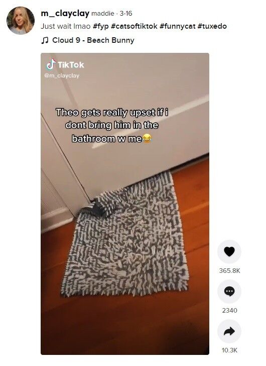 이미지를 클릭하면 원본 영상으로 이동합니다.