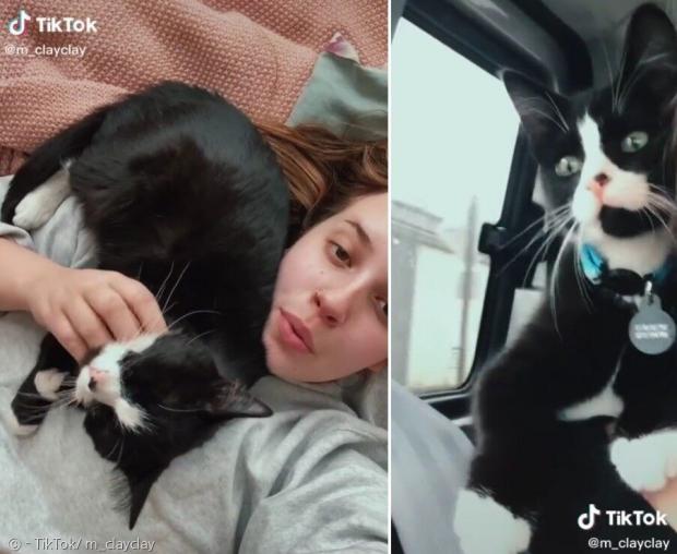 집사 매디와 턱시도 고양이 시오. [출처: TikTok/ m_clayclay]