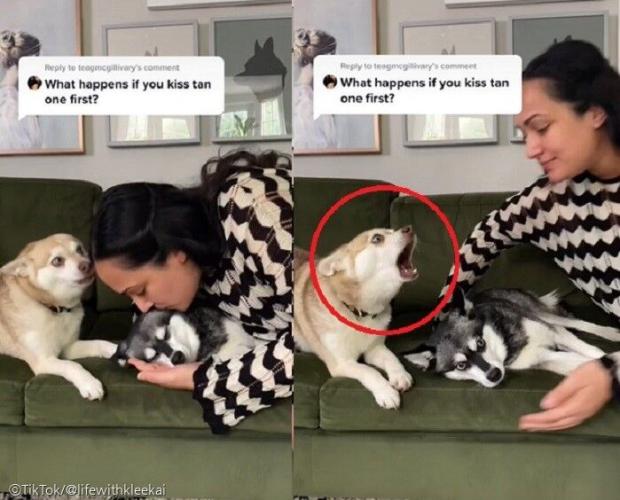 사진=TikTok/lifewithkleekai 영상 갈무리 '이하'