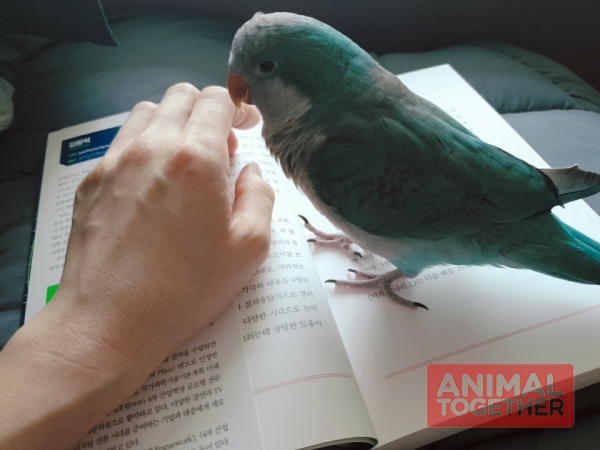 책 말고 나를...!!
