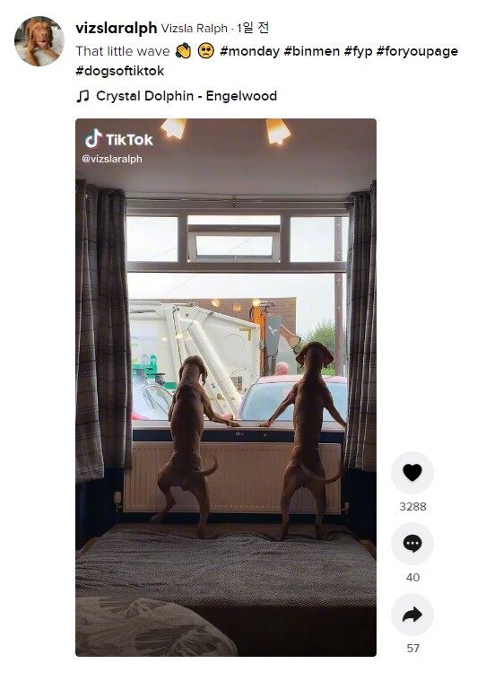 이미지를 클릭하면 원본 영상으로 이동합니다. 