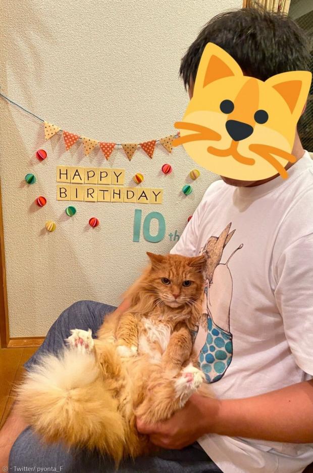 집사와 편타는 간소하게 10주년 기념일을 축하했다.