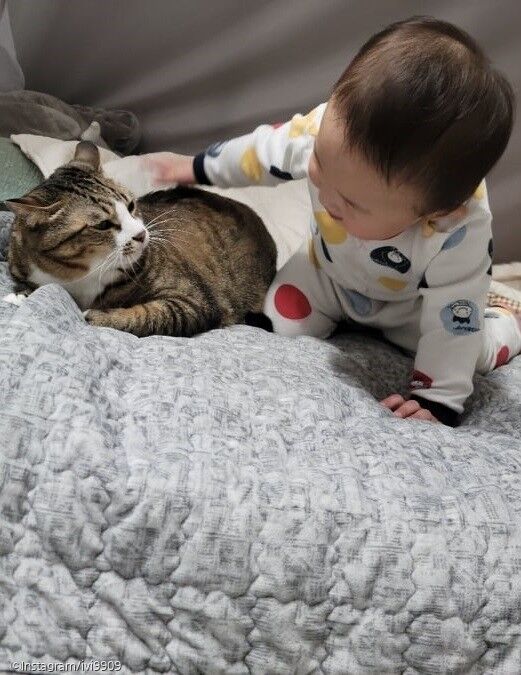ⓒ노트펫