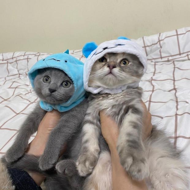 예쁜 애 옆에 예쁜 애~
