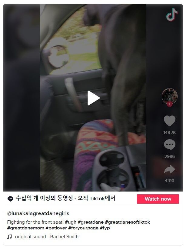 이미지를 클릭하면 원본 영상으로 이동합니다. 