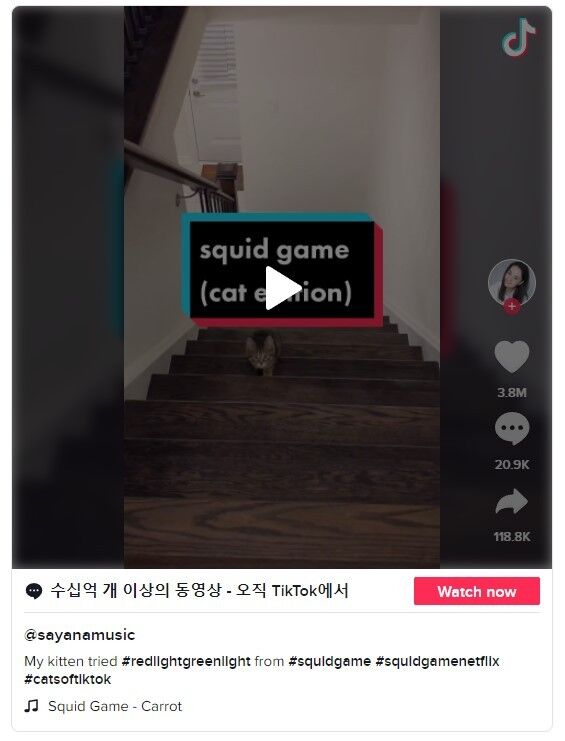 이미지를 클릭하면 원본 영상으로 이동합니다.