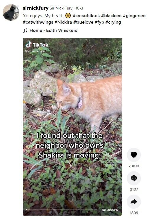 이미지를 클릭하면 원본 영상으로 이동합니다. 