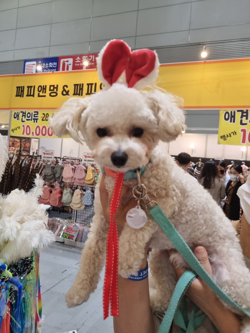 강아지 반려동물등록