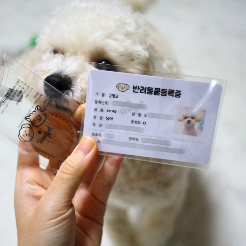 강아지 반려동물등록