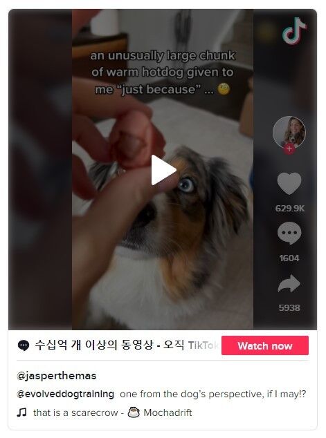 이미지를 클릭하면 원본 영상으로 이동합니다.