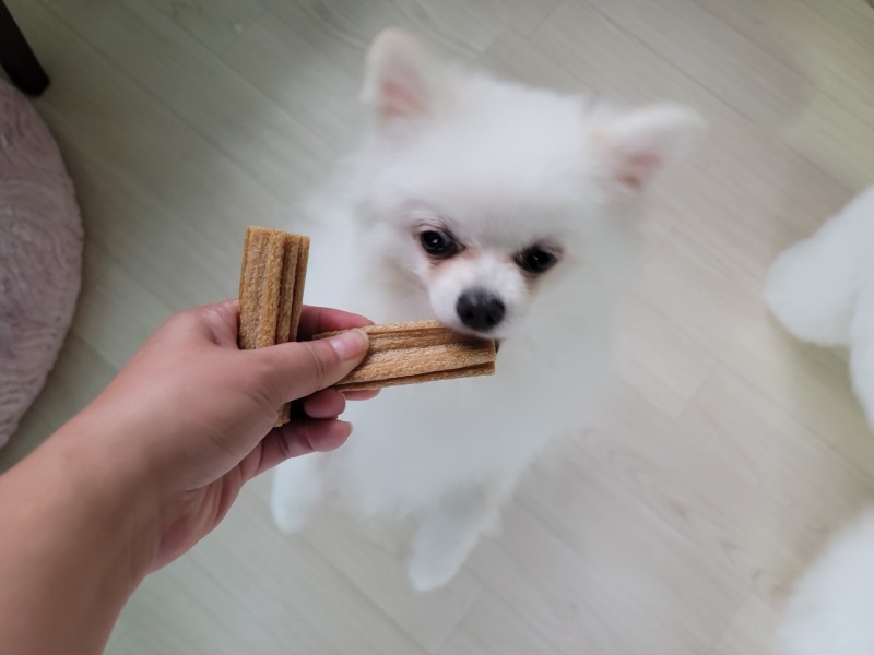 위펫 강아지 덴탈껌